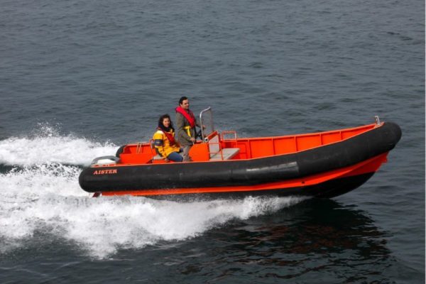 Aluminium workboat for waste collection