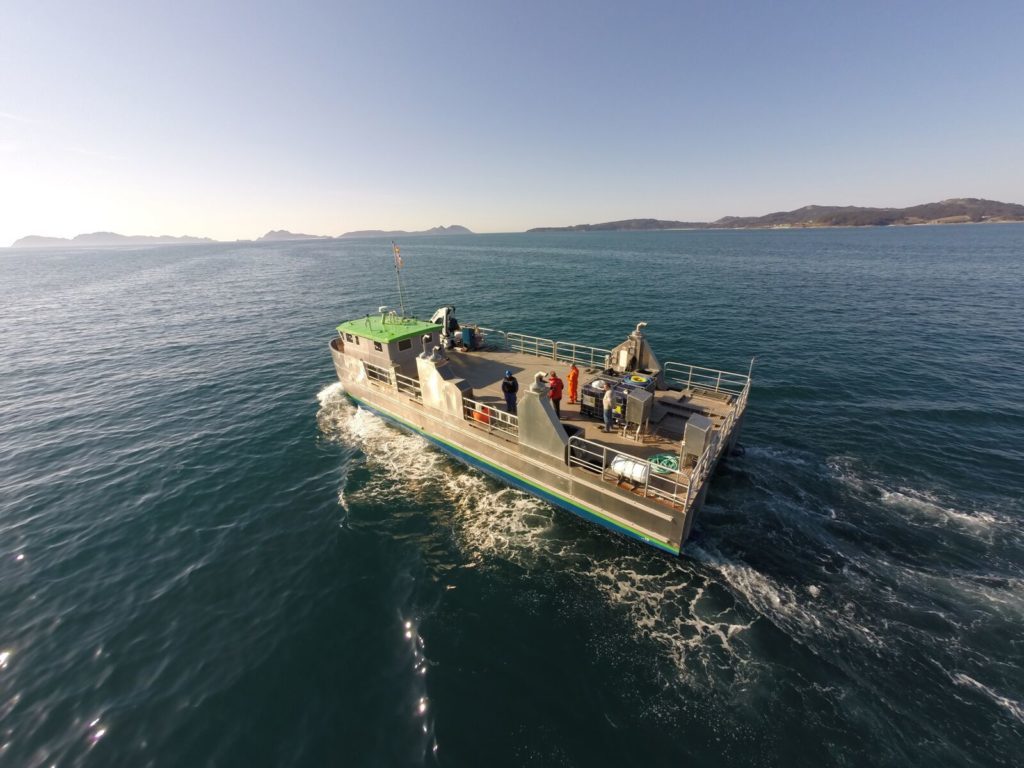 Catamarán de aluminio para pesca