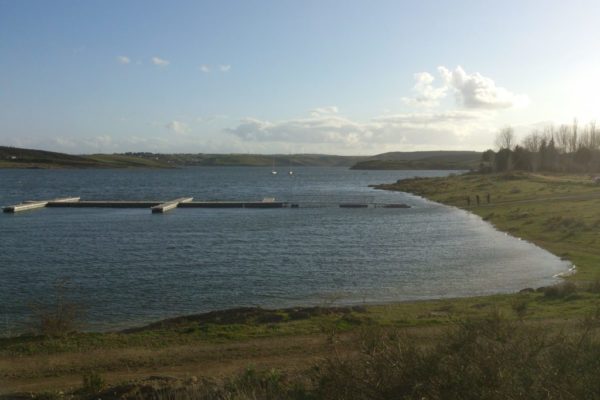 Floating dock